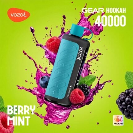Vozol Gear 40.000 Berry Mint