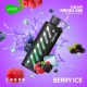 Berry-Ice