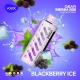 Blackberry-Ice